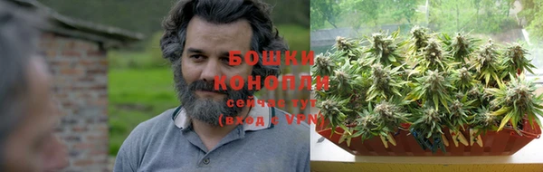 apvp Горняк
