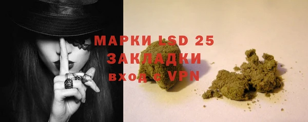 apvp Горняк