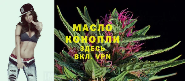 apvp Горняк