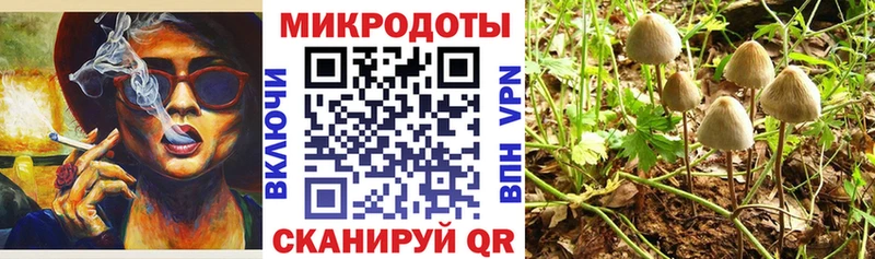 Галлюциногенные грибы мухоморы цена наркотик Березники